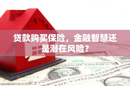单县贷款购买保险，金融智慧还是潜在风险？