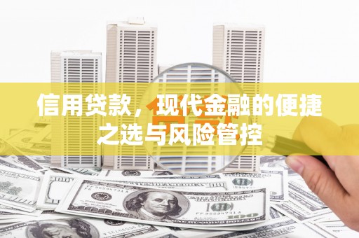 单县信用贷款，现代金融的便捷之选与风险管控