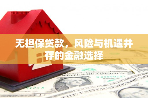 单县无担保贷款，风险与机遇并存的金融选择