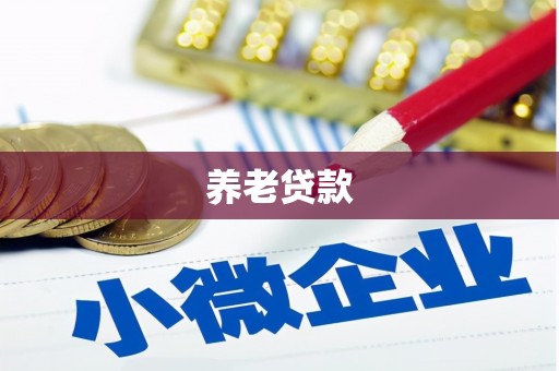 单县养老贷款