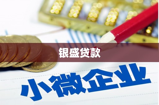 单县银盛贷款