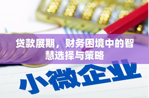 单县贷款展期，财务困境中的智慧选择与策略