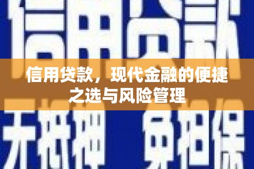 单县信用贷款，现代金融的便捷之选与风险管理