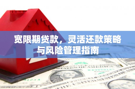 单县宽限期贷款，灵活还款策略与风险管理指南