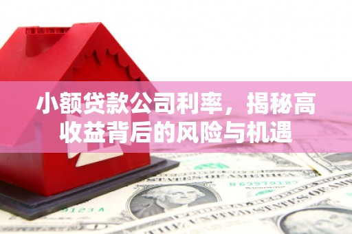 单县小额贷款公司利率，揭秘高收益背后的风险与机遇