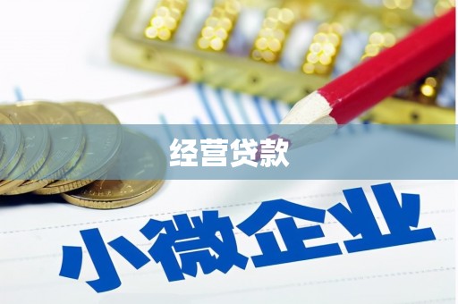 单县经营贷款