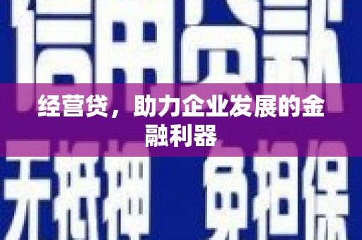 单县经营贷，助力企业发展的金融利器