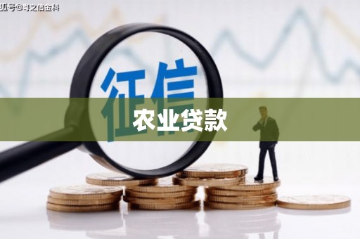 单县农业贷款