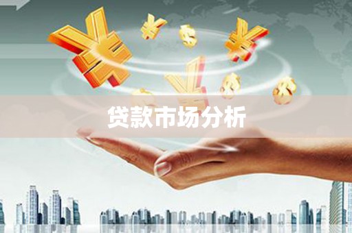 单县贷款市场分析