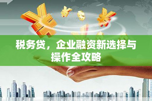 单县税务贷，企业融资新选择与操作全攻略