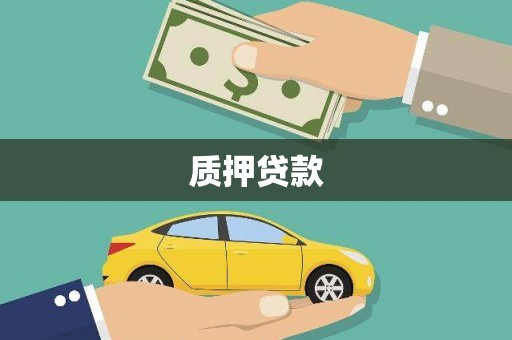 单县质押贷款