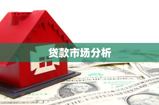 单县贷款市场分析