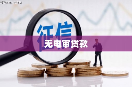 单县无电审贷款