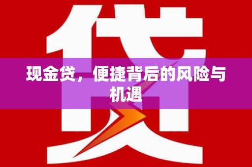 单县现金贷，便捷背后的风险与机遇