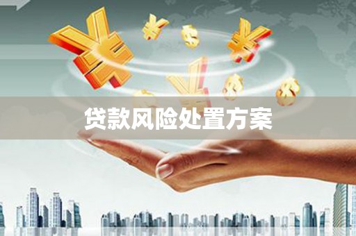 单县贷款风险处置方案