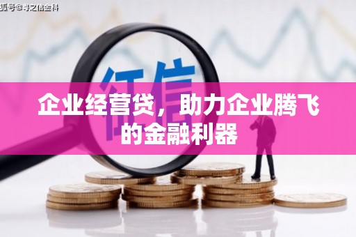 单县企业经营贷，助力企业腾飞的金融利器