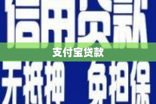 单县支付宝贷款