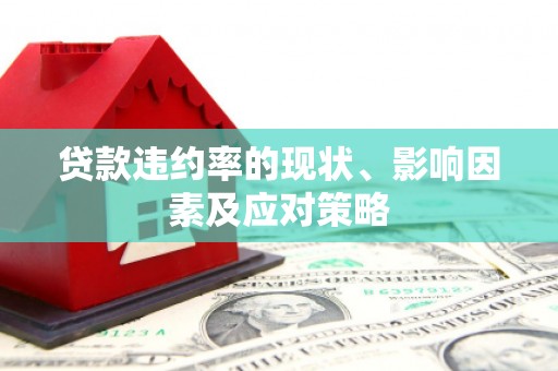 单县贷款违约率的现状、影响因素及应对策略