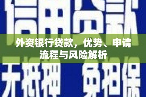 单县外资银行贷款，优势、申请流程与风险解析