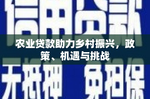 单县农业贷款助力乡村振兴，政策、机遇与挑战