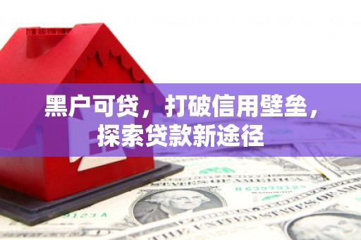 单县黑户可贷，打破信用壁垒，探索贷款新途径