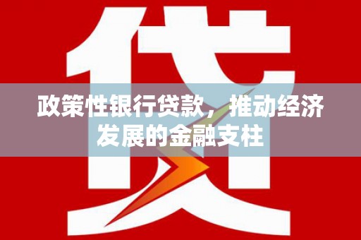 单县政策性银行贷款，推动经济发展的金融支柱