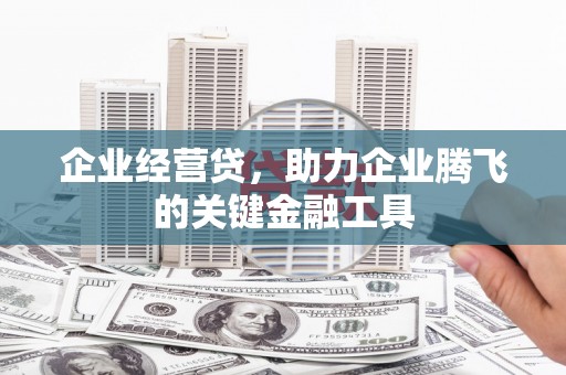 单县企业经营贷，助力企业腾飞的关键金融工具