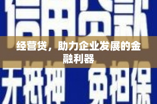 单县经营贷，助力企业发展的金融利器