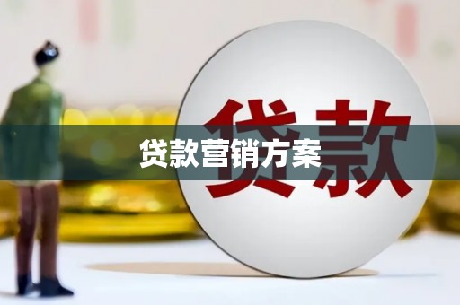 单县贷款营销方案