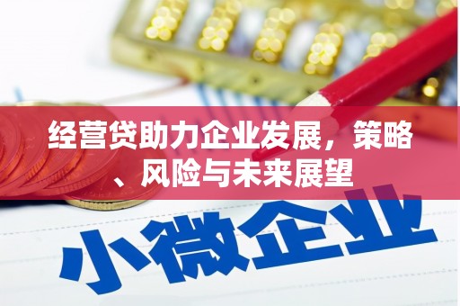 单县经营贷助力企业发展，策略、风险与未来展望