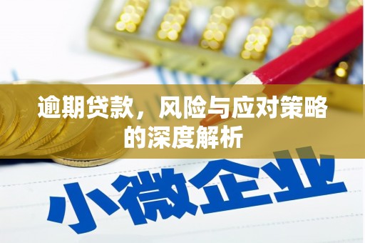 单县逾期贷款，风险与应对策略的深度解析