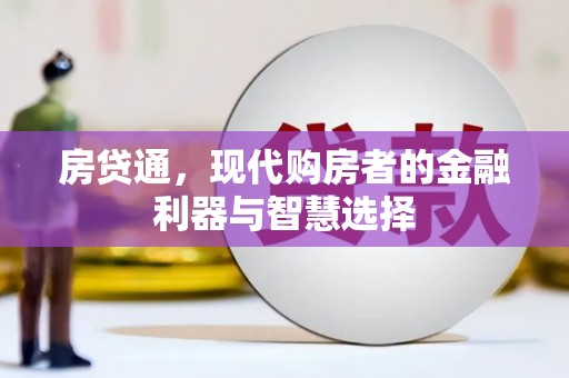 单县房贷通，现代购房者的金融利器与智慧选择