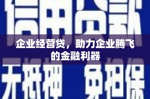 单县企业经营贷，助力企业腾飞的金融利器