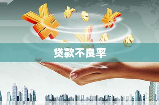单县贷款不良率
