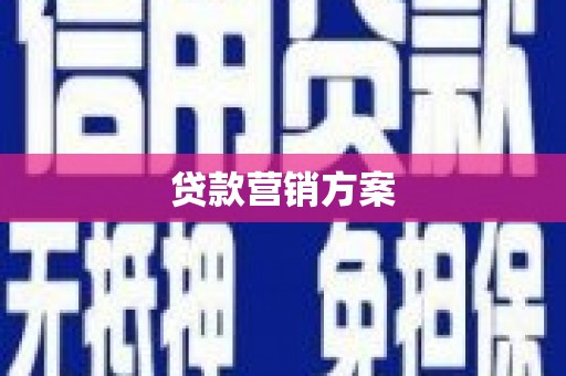 单县贷款营销方案