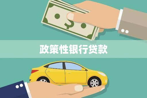 单县政策性银行贷款