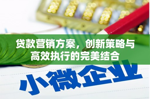 单县贷款营销方案，创新策略与高效执行的完美结合