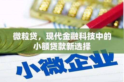 单县微粒贷，现代金融科技中的小额贷款新选择
