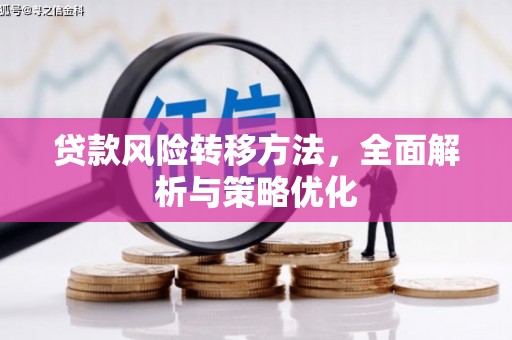 单县贷款风险转移方法，全面解析与策略优化