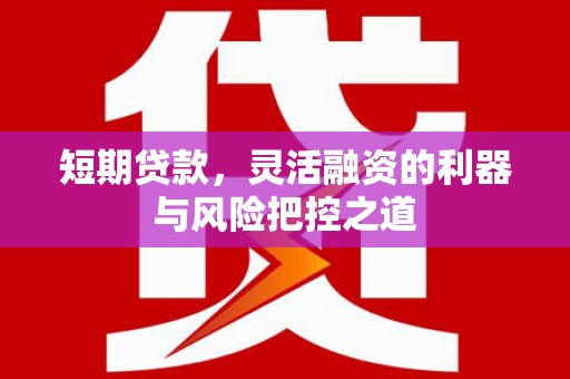 单县短期贷款，灵活融资的利器与风险把控之道