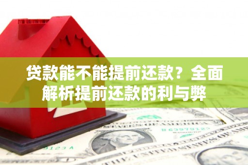 单县贷款能不能提前还款？全面解析提前还款的利与弊