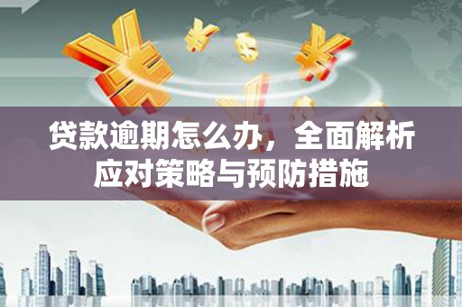 单县贷款逾期怎么办，全面解析应对策略与预防措施