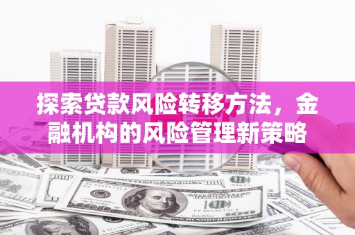 单县探索贷款风险转移方法，金融机构的风险管理新策略
