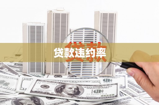 单县贷款违约率