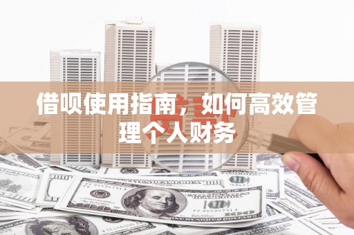单县借呗使用指南，如何高效管理个人财务