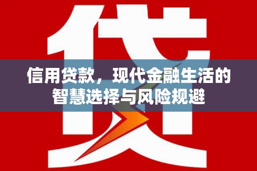 单县信用贷款，现代金融生活的智慧选择与风险规避