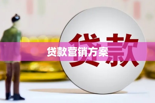 单县贷款营销方案
