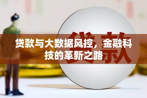单县贷款与大数据风控，金融科技的革新之路