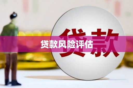 单县贷款风险评估