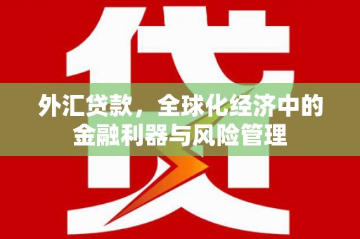 单县外汇贷款，全球化经济中的金融利器与风险管理